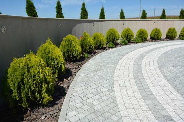 Best Driveway Pavers Near Me  in Sullivan Gardens, TN